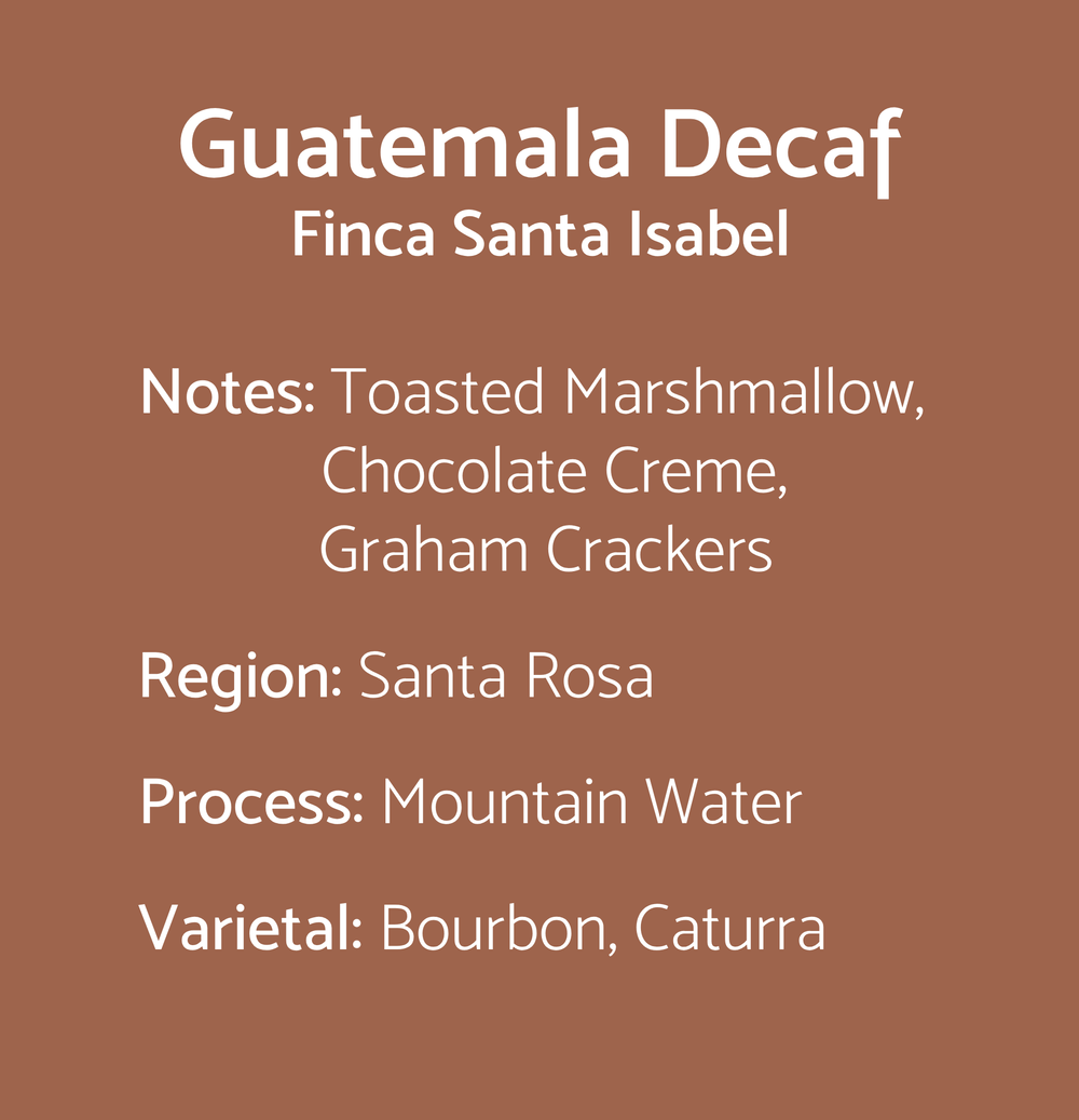 Guatemala decaf — Kenz Coffee Roasters